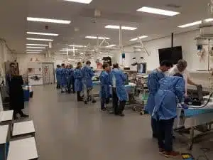 hands-on workshop